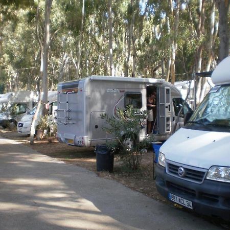 Alissos Camping Golden Sunset מראה חיצוני תמונה